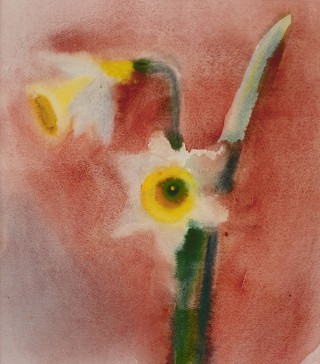 08 - Grünseis-Frank, Erna - Narzissen Aquarell auf Papier Rufnummer: 08 Künstler: Erna Grünseis-Frank Titel: Narzissen Technik: Aquarell Rufpreis: 200 €